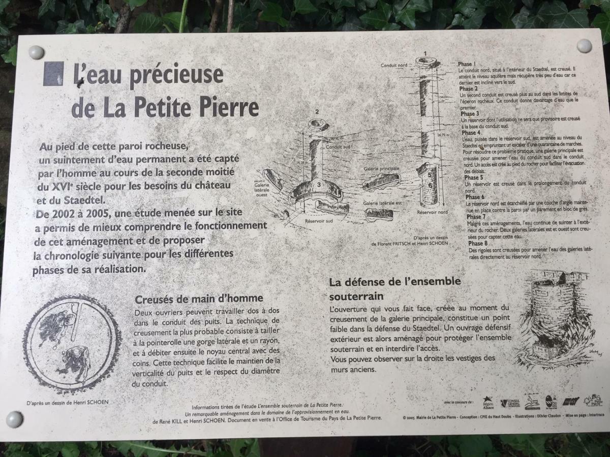 La Dependance De La Villa Des Oiseaux - La Petite Pierre المظهر الخارجي الصورة